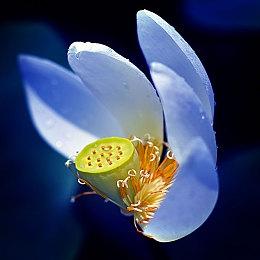 国产悬疑游戏《三伏》开发进度过半 预计明年年初发售